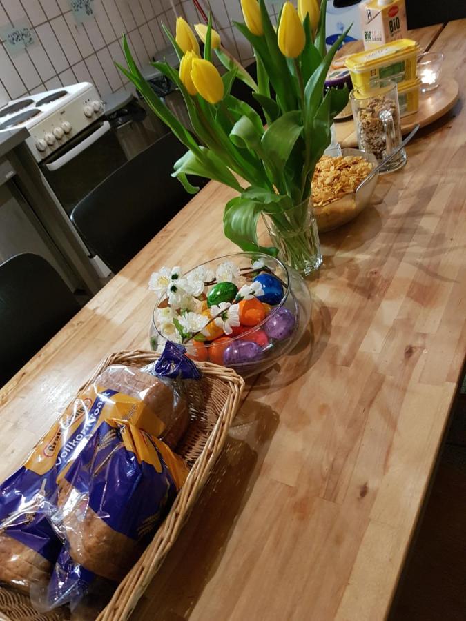 Penthouse Backpackers Vandrarhem Osnabrück Exteriör bild